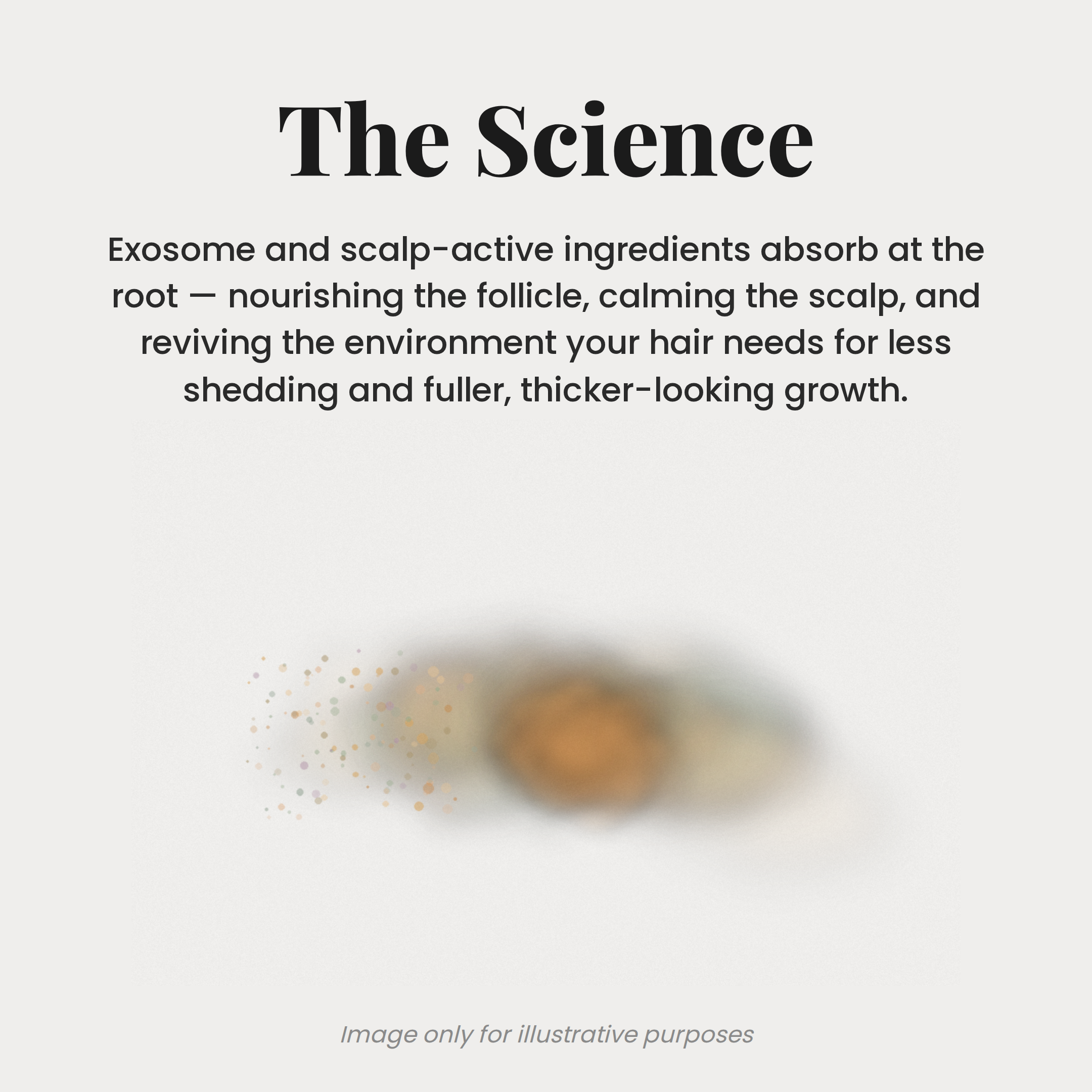Growth Brush Serum